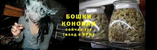 Альфа ПВП Горняк