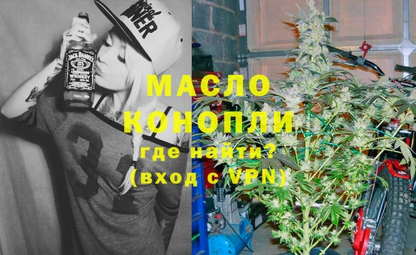 Альфа ПВП Горняк