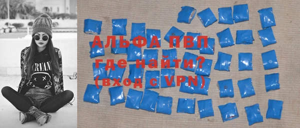 Альфа ПВП Горняк