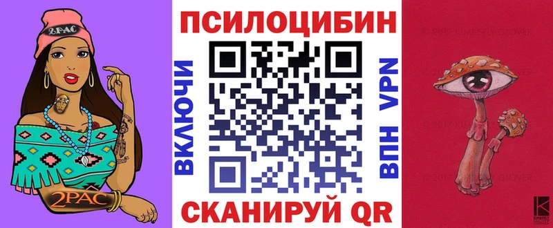 Галлюциногенные грибы Cubensis  Бердск 