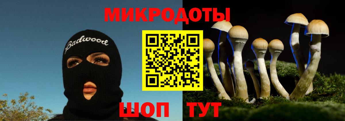 Галлюциногенные грибы Psilocybine cubensis Бердск